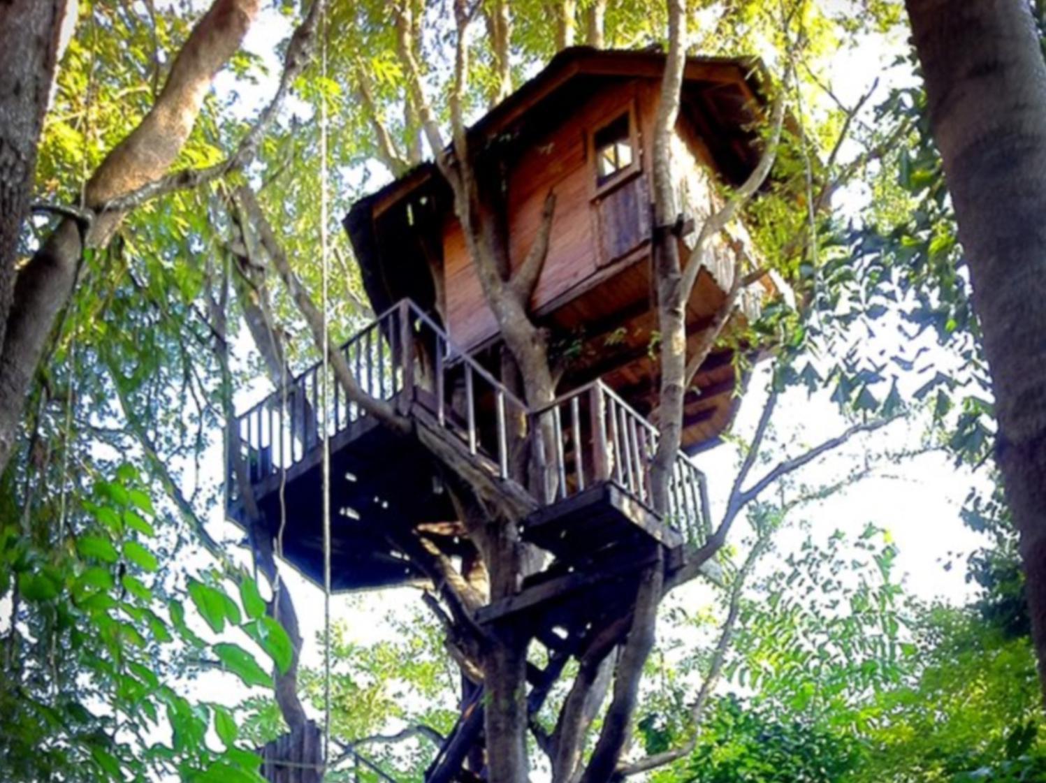 Rabeang Pasak Tree House Resort - Chiang Mai, Chiang Mai