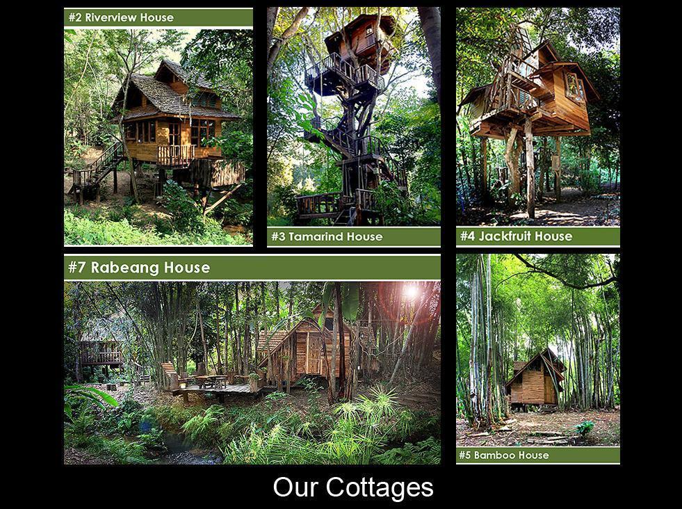 Rabeang Pasak Tree House Resort - Chiang Mai — Photos 3